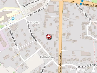 Carte de Dupuis Eric à Baugé