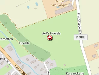 Carte de Urgence (services Locaux) à Feldbach