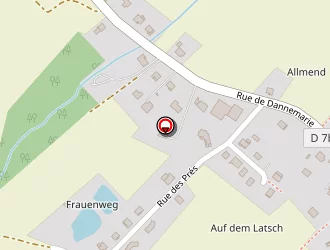 Carte de Goetz Pierre à Seppois-le-bas