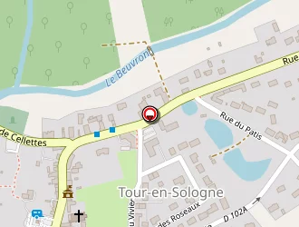 Carte de Ecole à Tour-en-sologne