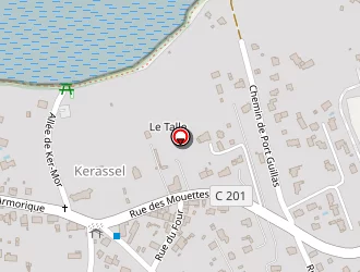 Carte de Rio Désiré à Sarzeau