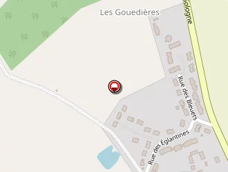 Carte de Boudeau Thierry à Neung-sur-beuvron