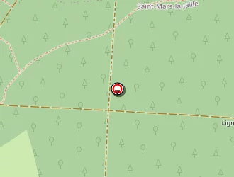 Carte de Royne Patrick à Saint-mars-la-jaille