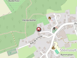 Carte de Schoen Vincent à Steinsoultz