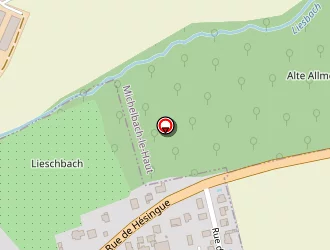 Carte de Billig (ets) à Folgensbourg