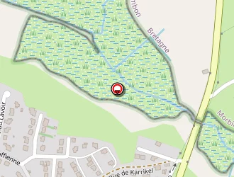 Carte de Muzillac Pressing à Ambon