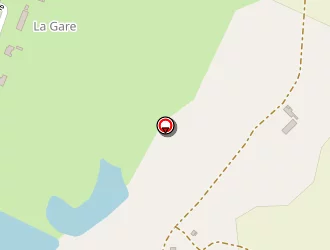 Carte de Arbre Clean à Brinon-sur-sauldre