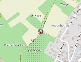 Carte de Mairie à Buschwiller