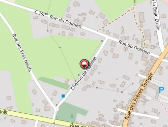 Carte de Gougeon Mickaël à Meilleraye-de-bretagne (la)