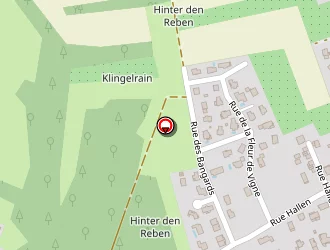 Carte de Savioz Michel à Hégenheim