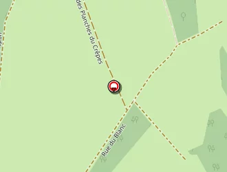 Carte de Maffli Jacques à Saulnot