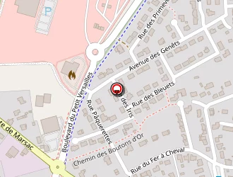 Carte de Guerlais Thibault à Nozay