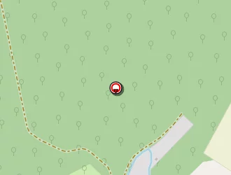 Carte de Carrosseries Services à Granges-le-bourg