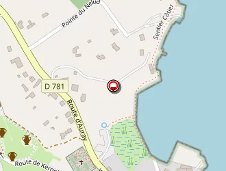 Carte de Pharmacie Flaux à Locmariaquer