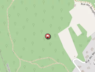 Carte de Elec-confort à Verlans