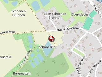 Carte de Fs Consultant à Hindlingen