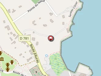 Carte de Le Gros Eric à Locmariaquer