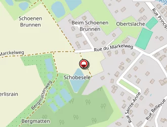 Carte de Bornert Philippe à Hindlingen