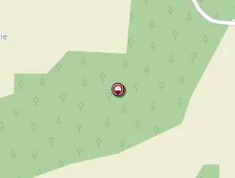 Carte de Revs : Rencontres Echanges Voyages Séjours à Marcé