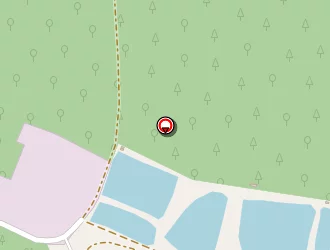 Carte de Rémy Georges à Saulnot