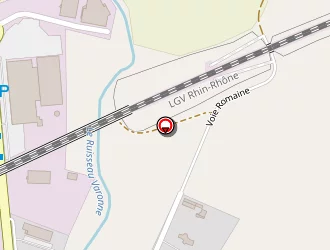 Carte de Niglis Patrick à Trévenans