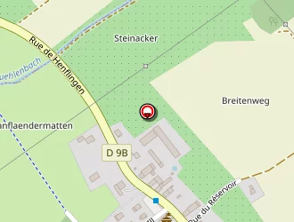 Carte de Mairie à Henflingen