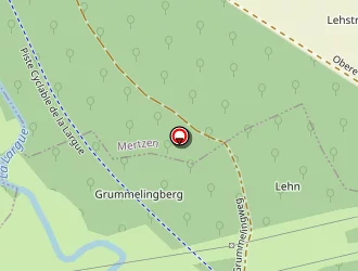 Carte de Wysocki Bernard à Hindlingen