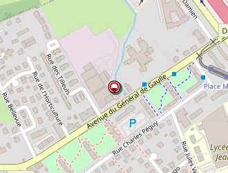 Carte de Muller Thierry à Saint-louis