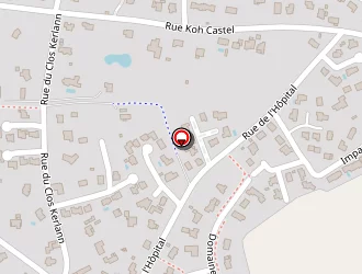 Carte de Maisonneuve Fabienne à Surzur