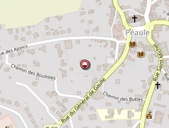 Carte de Le Néchet Jacky à Péaule