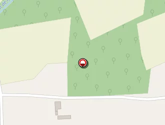 Carte de C.u.m.a De Plume Chat Huant à Plessé