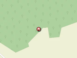 Carte de Vivien Morin à Chenu