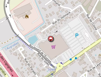 Carte de Avis Location De Voitures à Saint-louis