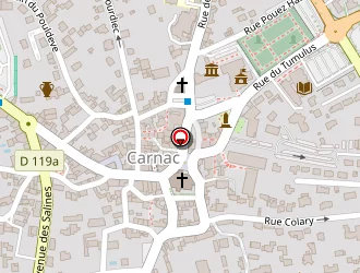 Carte de Sayag Fabrice à Carnac