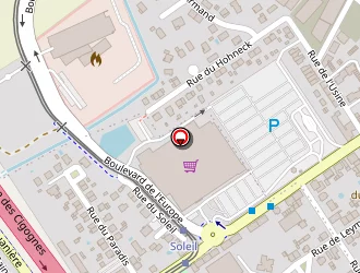 Carte de Masterclean à Saint-louis