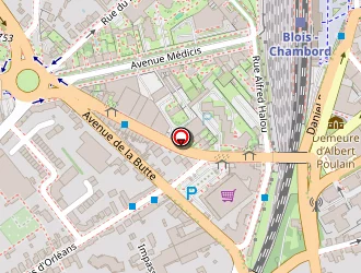 Carte de Royer Jacques à Blois