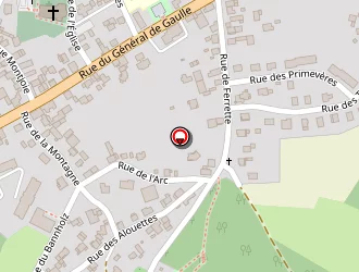 Carte de Metal Formation à Hirsingue