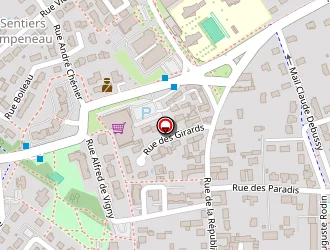 Carte de Triqueneaux Eric à Vineuil