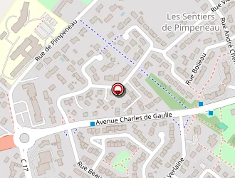 Carte de Paillet Pierre à Vineuil