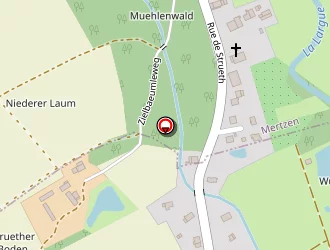 Carte de E.r.b (electricité Roberto Bottoni) à Strueth