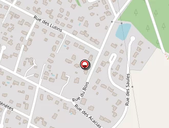 Carte de Coaching-perspective à Surzur