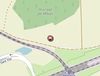 Carte de Taxis Mps à Meroux