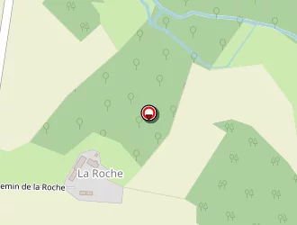 Carte de L.c.h à Neuvy-le-roi