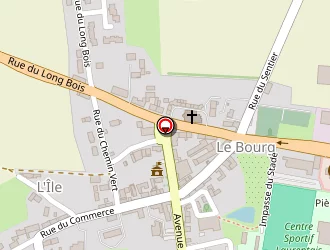 Carte de Cluzeau Gérard à Saint-laurent-en-gâtines