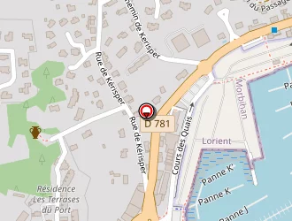 Carte de Ruyer Tharcise à Trinité-sur-mer (la)