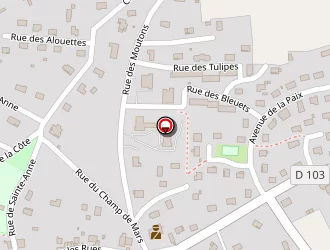 Carte de Le Chiken Cheif à Selongey