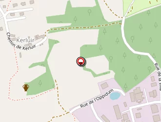 Carte de Ronco à Carnac