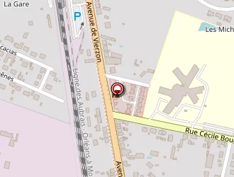 Carte de Veclain Pascale à Lamotte-beuvron