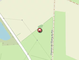 Carte de Vacances Adaptées à Pin (le)