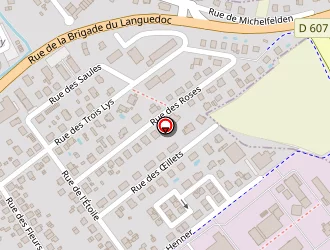 Carte de Ueberschlag à Saint-louis